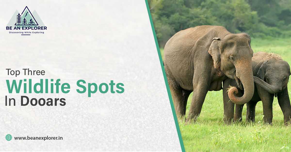 3 Best Wildlife Places To Explore In Dooars