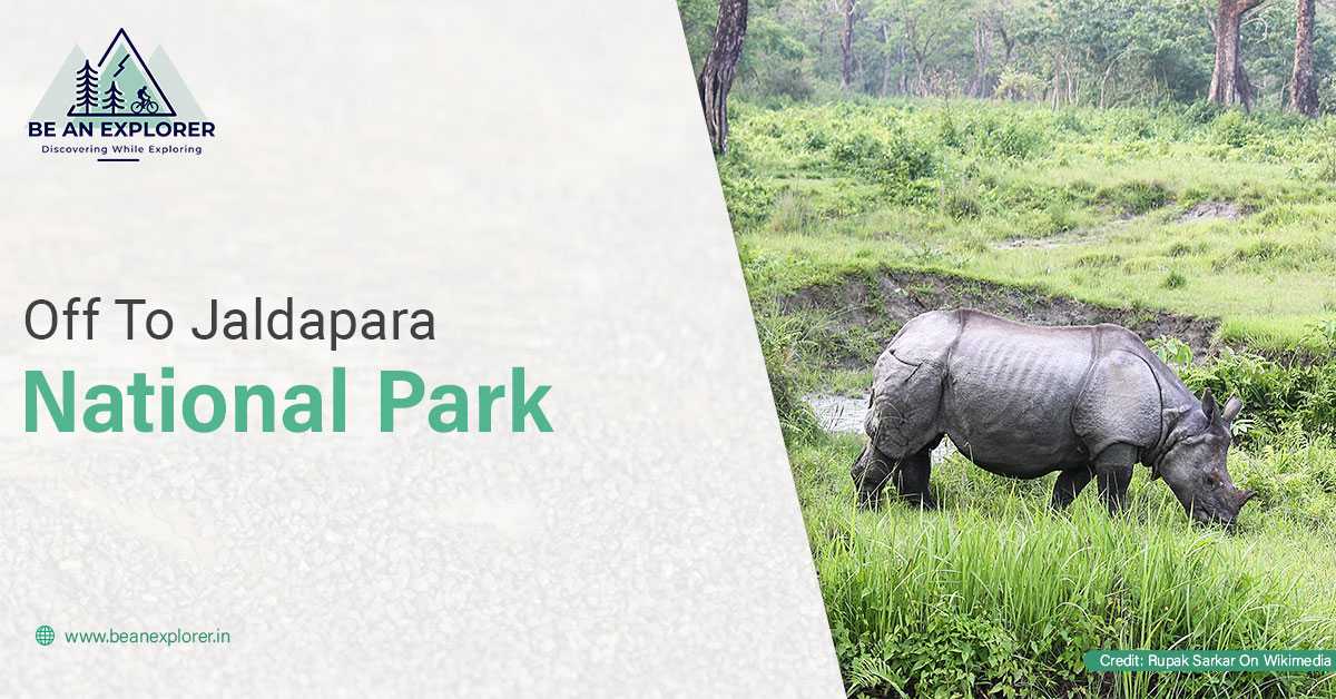 Stunning Wildlife In Jaldapara National Park
