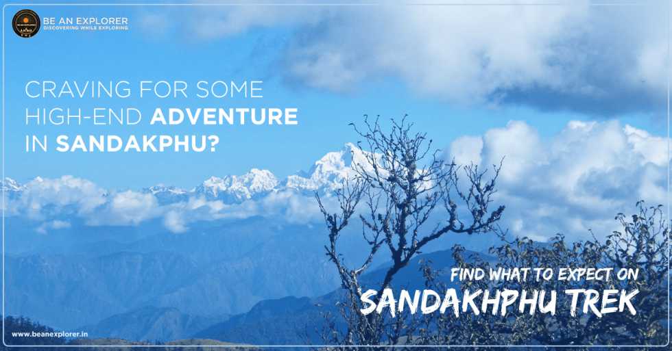 Crave For Some High-End Adventure!