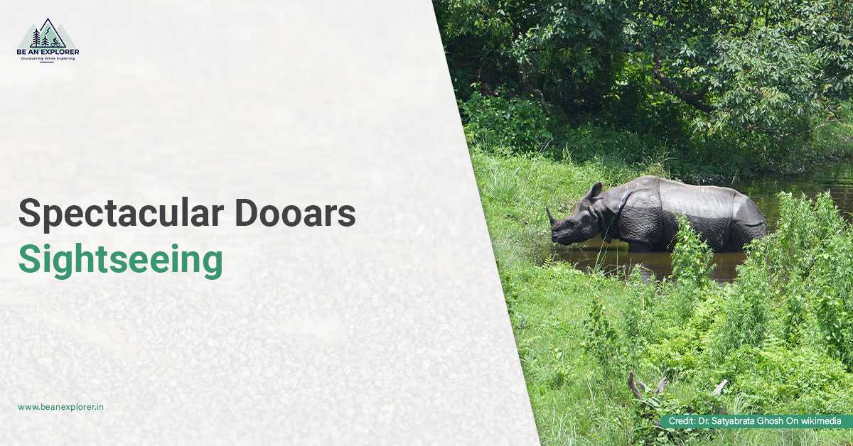 5 Best Sightseeing Locations In The Dooars Region