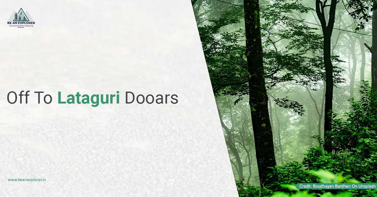 What To Explore On Your Lataguri Dooars Holiday