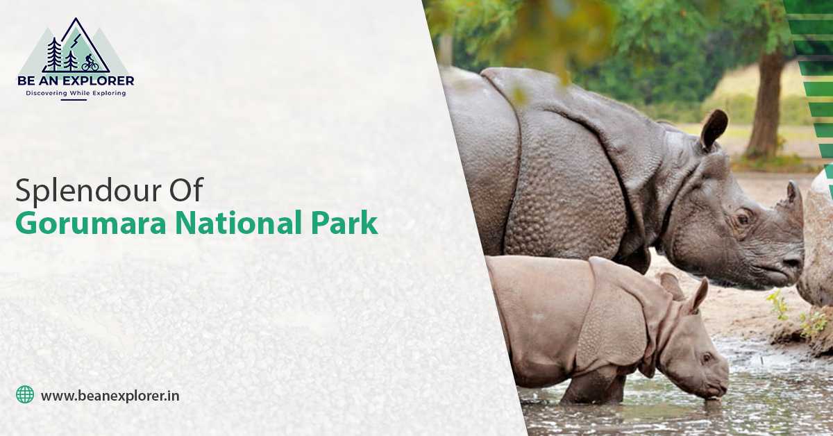 Exploring The Stunning Gorumara National Park