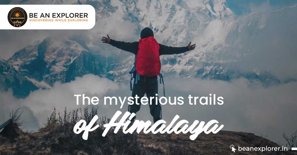Sandakphu Trek Package Mysterious Trails Of Himalaya