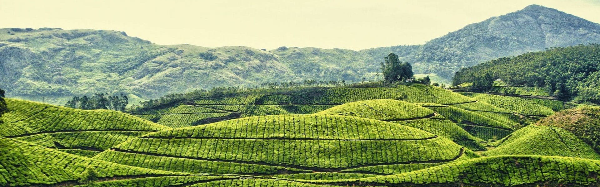 Sightseeing in Assam