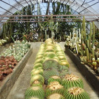 Pine view nursery